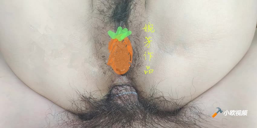 www.v2ba.org