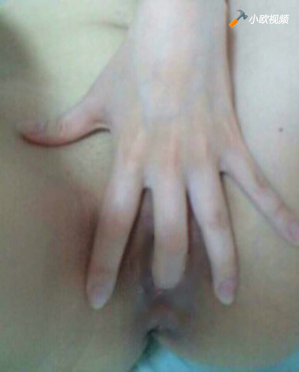 www.v2ba.org